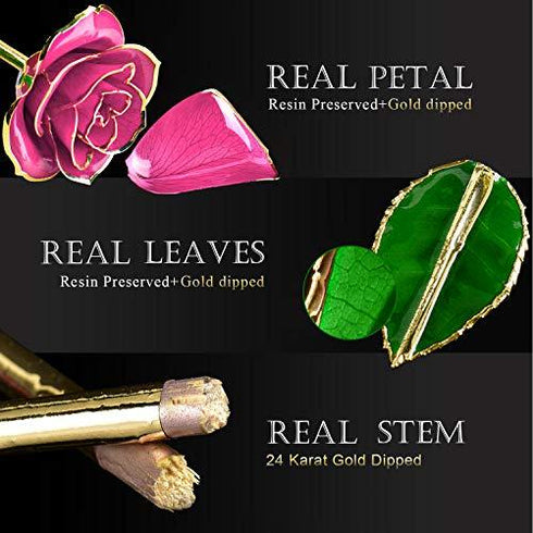 24K Gold Dipped Pink Eternal Rose